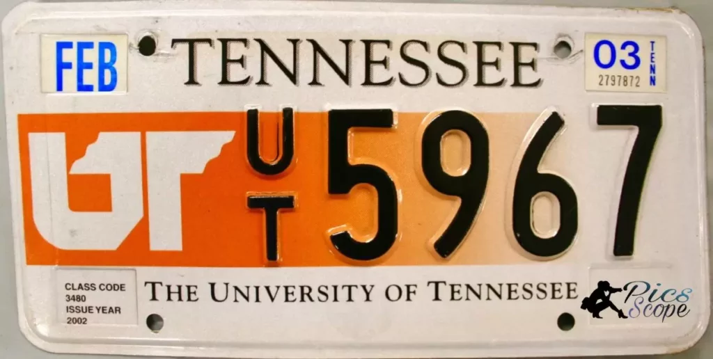 Citizenship Project License Plate Tn