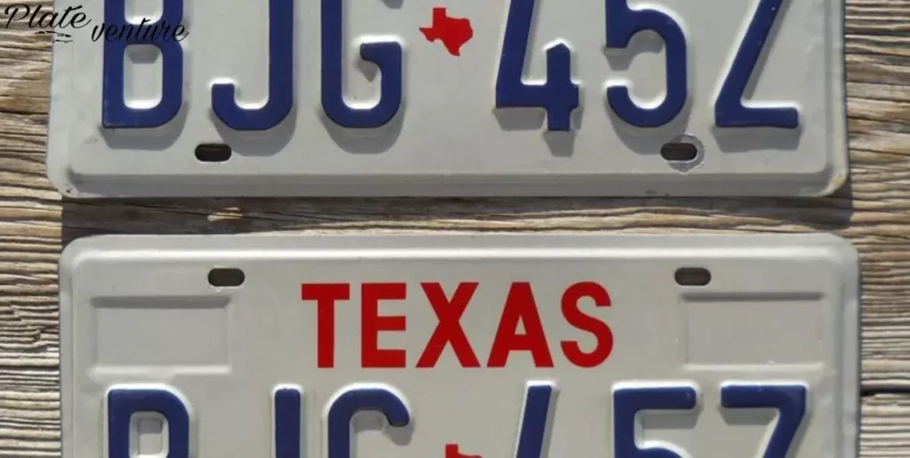 Displaying and Mounting License Plates Correctly