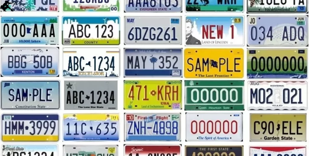 Fleet Vehicle License Plates in the Different US States