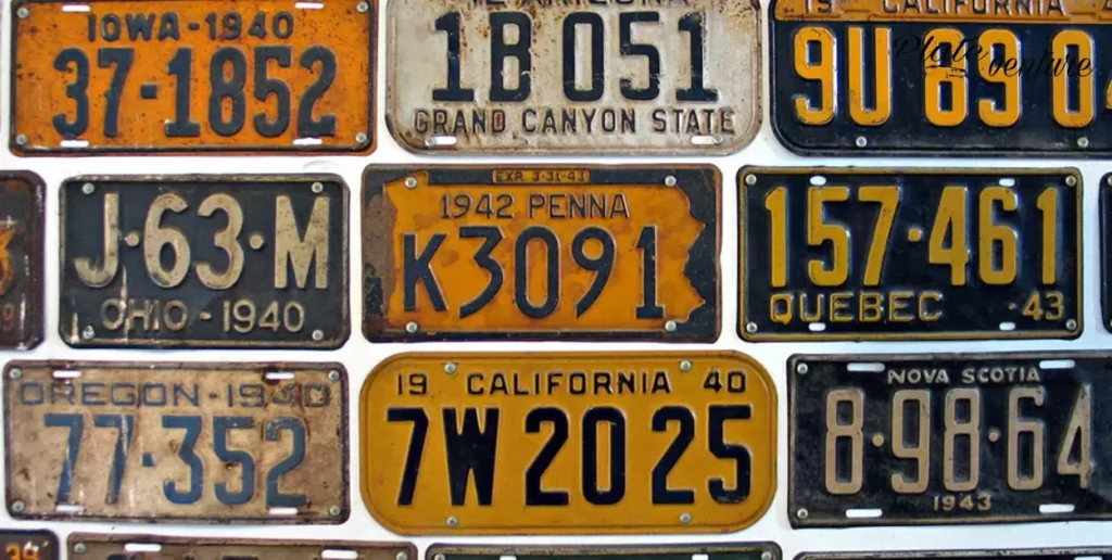 Historical Milestones in License Plate Light Mandates