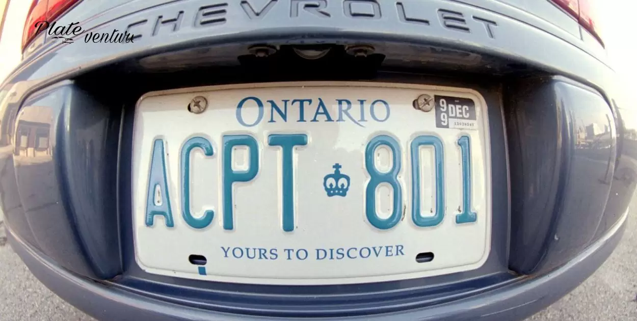 How To Know If Someone Reported Your License Plate?