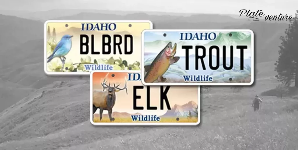 Idaho License Plate Options