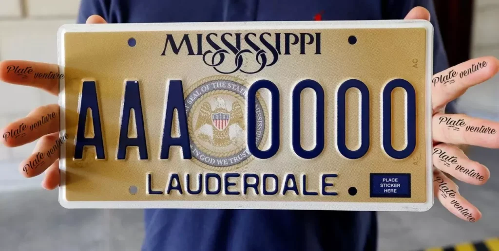 Interpreting Slang in License Plates