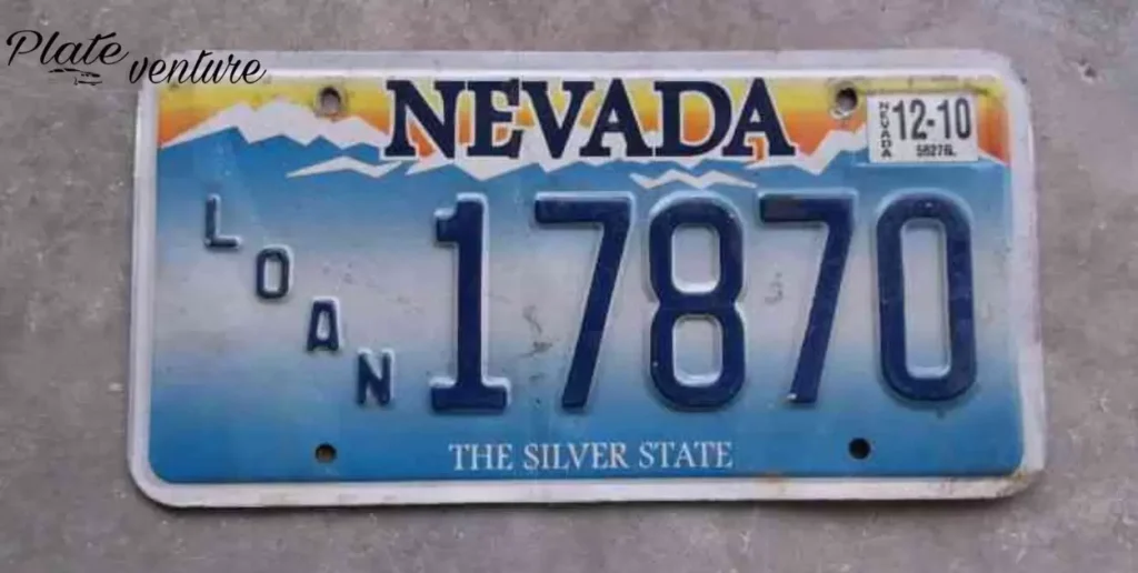 License Plate Character Length