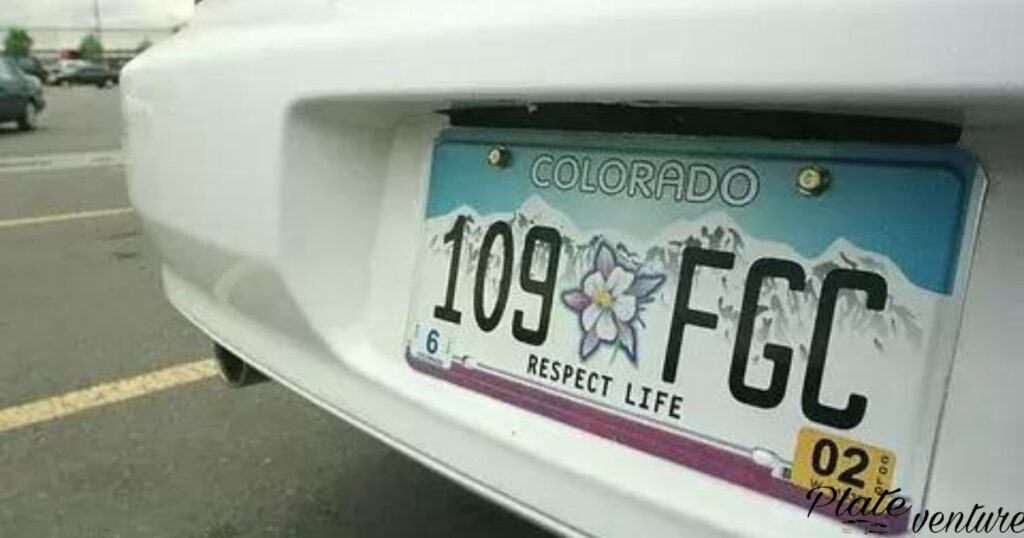 Methods of Running a License Plate