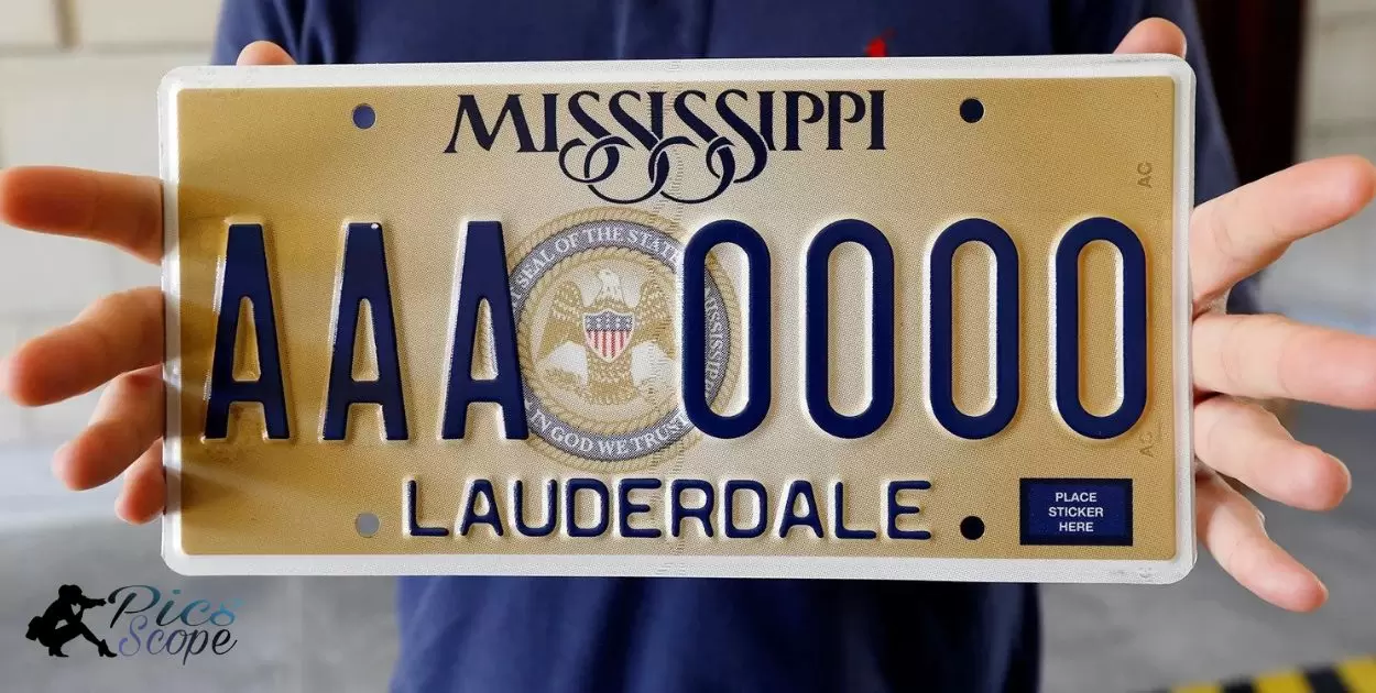 What Does Citizenship Project Mean On A License Plate?