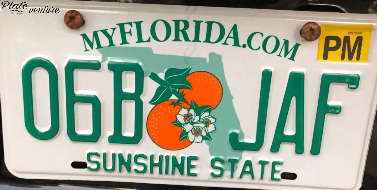 What Does Pm Mean On A Florida License Plate?