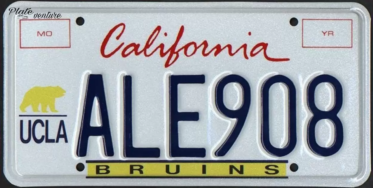 What Happens If Someone Reported Your License Plate?