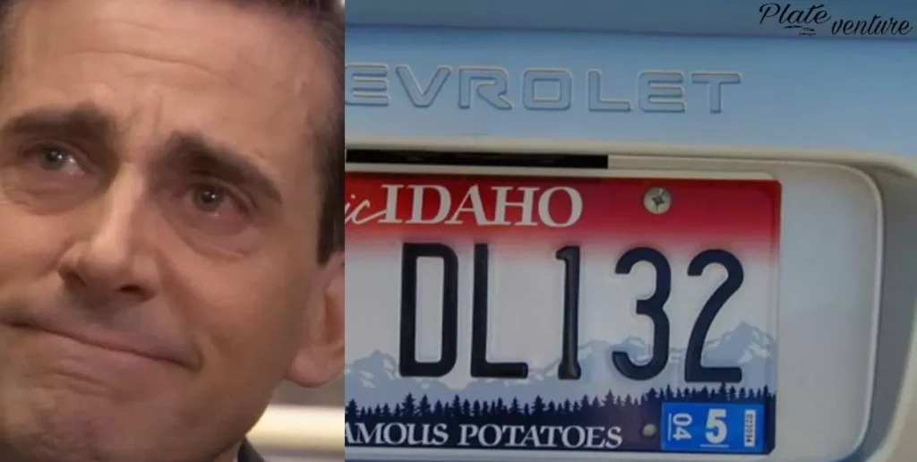 What Happens When You Have Fake License Plates?