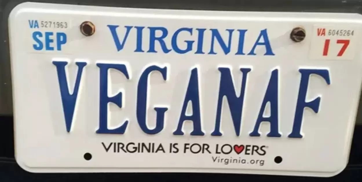 What To Do With Old License Plates Virginia?