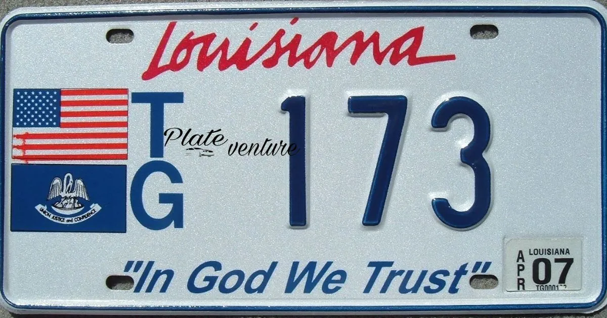 American License Plate Size