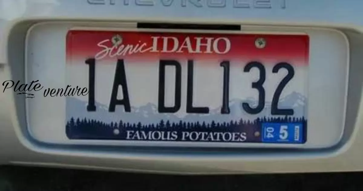 Blue License Plate Lights Illegal