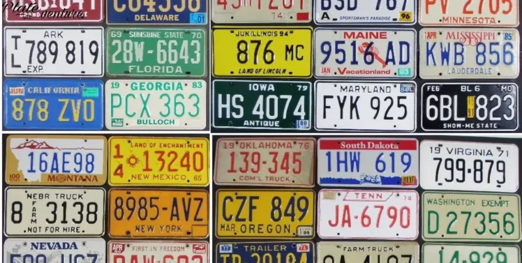 Comparing Different States' License Plate Systems