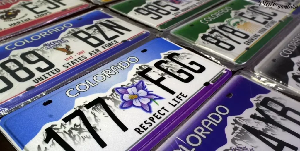 Custom and Specialty Plate Size Considerations