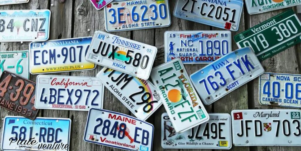 How do US license plate sizes compare internationally?