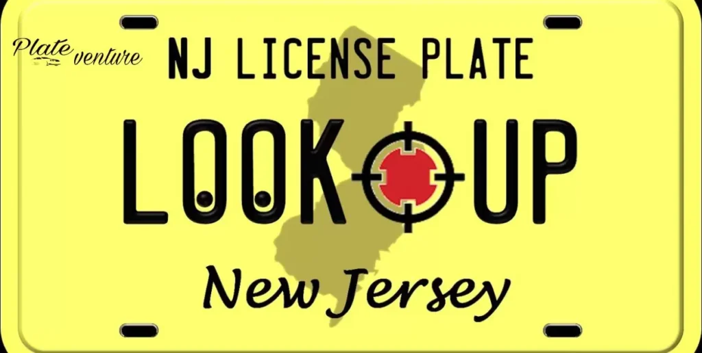 Public Records and License Plate Information