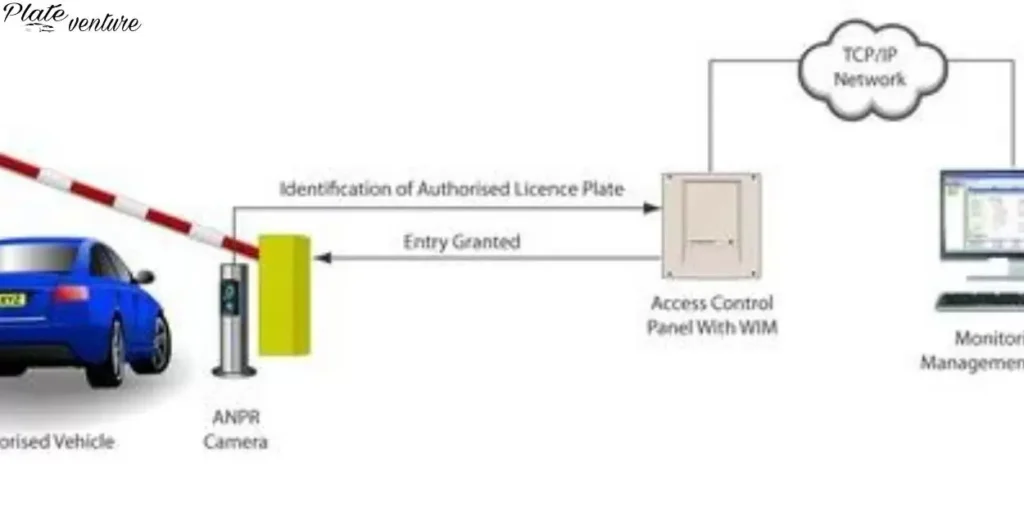 Significance of License Plates in Vehicle Identification