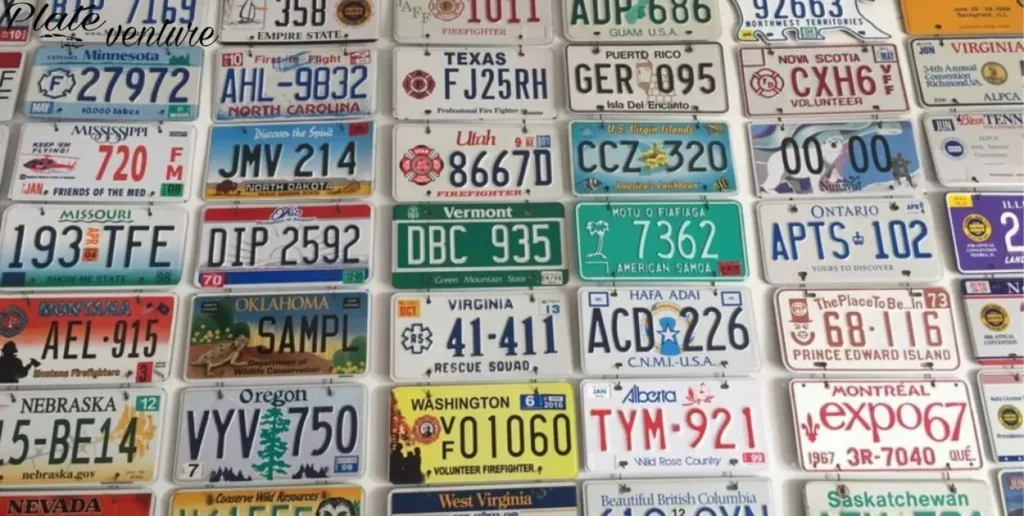 Specialty License Plates By State