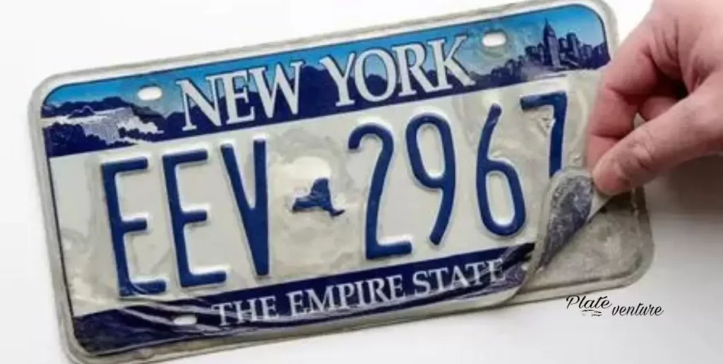 Steps to Replace a Dead License Plate