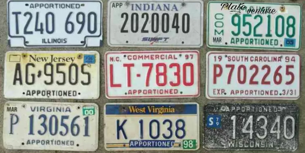 The impact of regional differences on License Plate appearance.