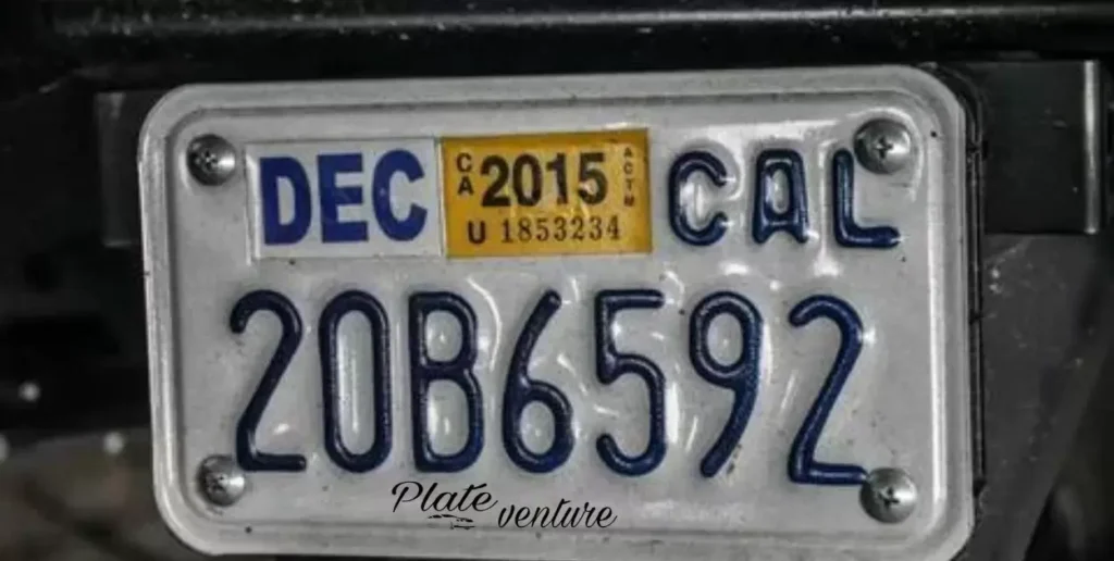 What damage can removing a license plate without proper tools cause?