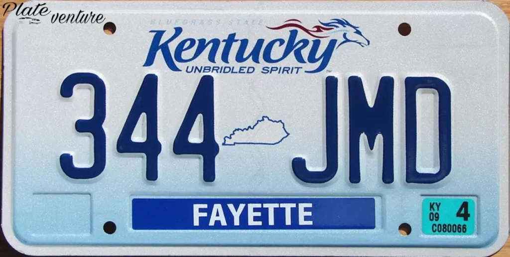 What future innovations may impact license plate size standards?