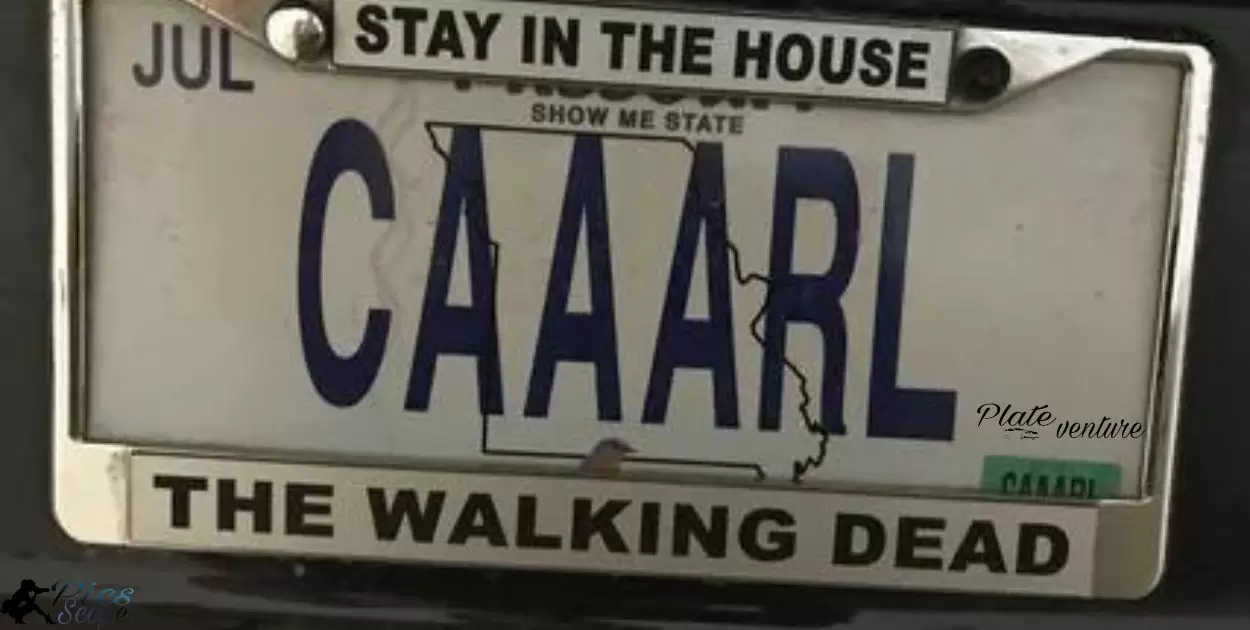 What Is A Dead License Plate?