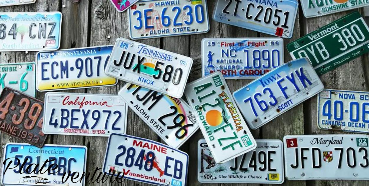 What Is The Size Of License Plates?