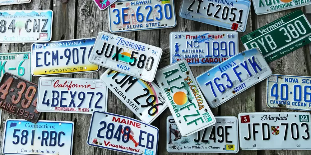 What shapes can license plates come in?