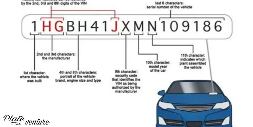 Where Can I Find My Vehicle License Number?