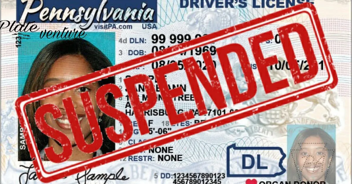 How To Check If Your License Plate Is Suspended Illinois?