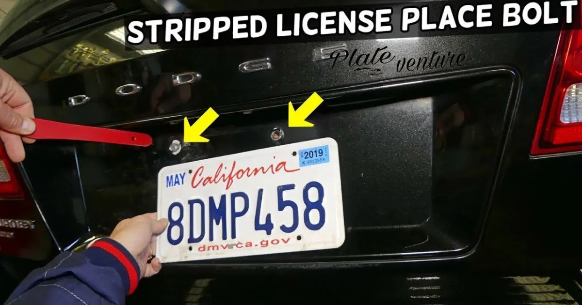 How To Remove License Plate Frame?