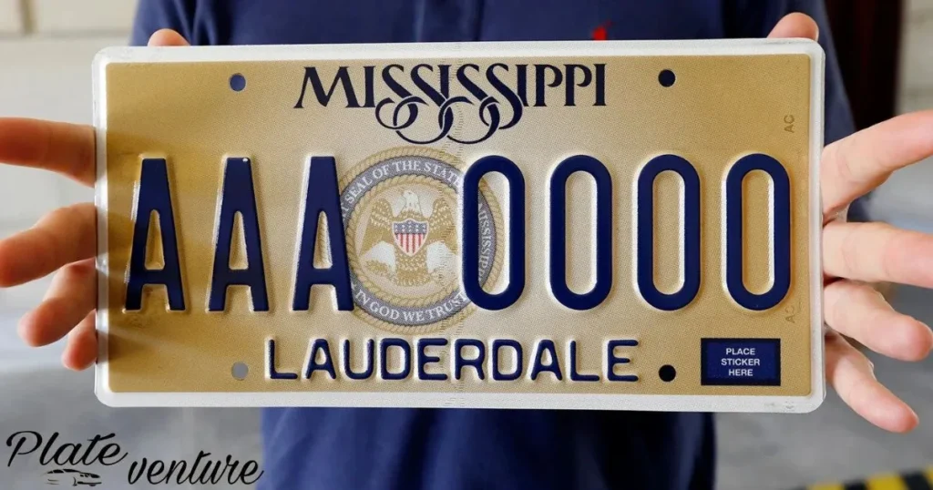 Regulates And Manages License Plates