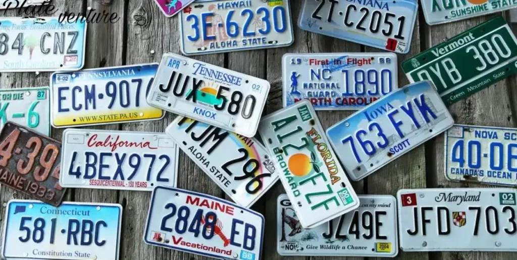 Screws Designed Specifically For License Plates