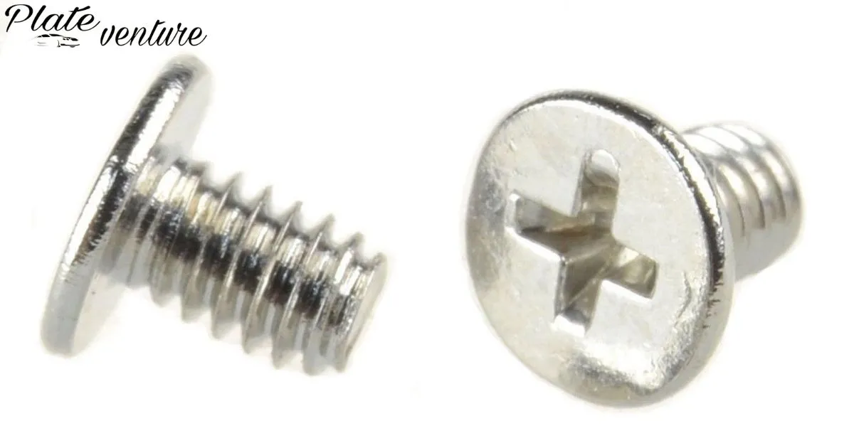 What Is The Size Of License Plate Screws?