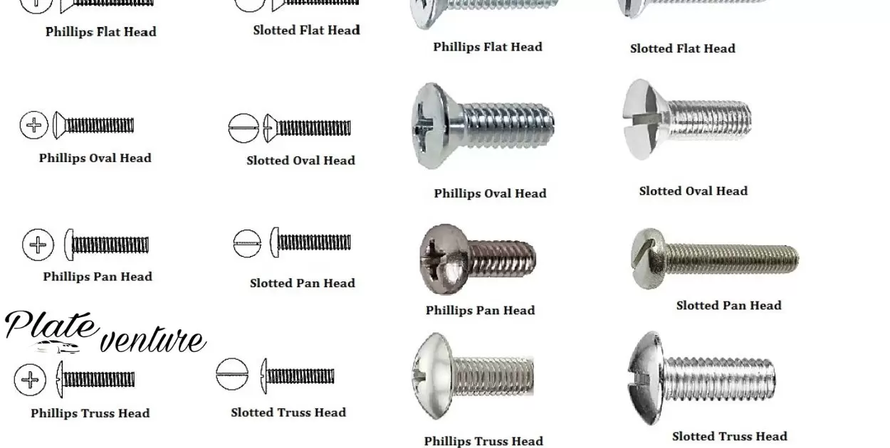 What Size Screw For License Plate?