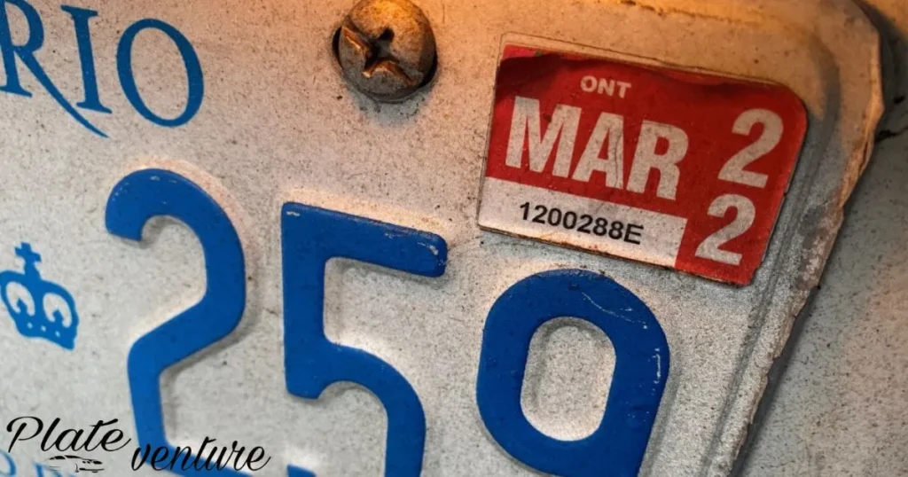 Common License Plate Renewal Mistakes To Avoid