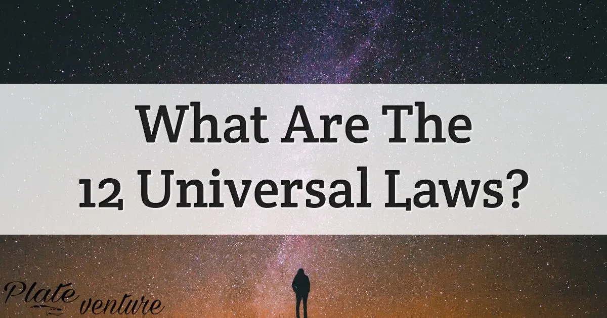 What Are The Universal Laws?