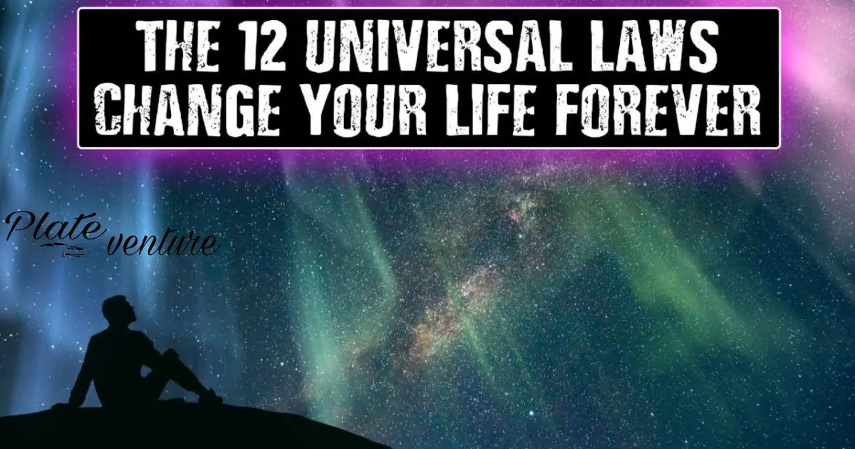 What Is The Universal Law?